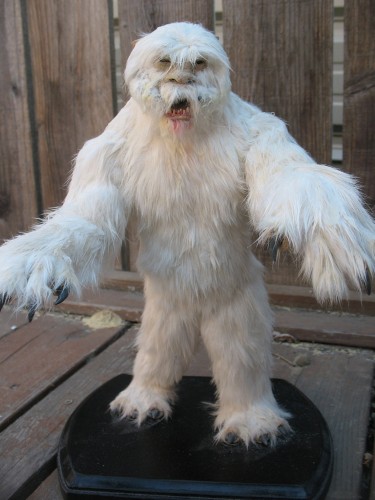 wampa 2