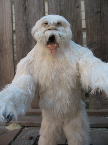 wampa3