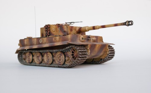 SW_TIGER_004