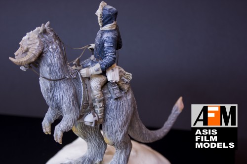 HAN SOLO -TAUNTAUN-ASISFILMMODELS-FDEASIS73-004